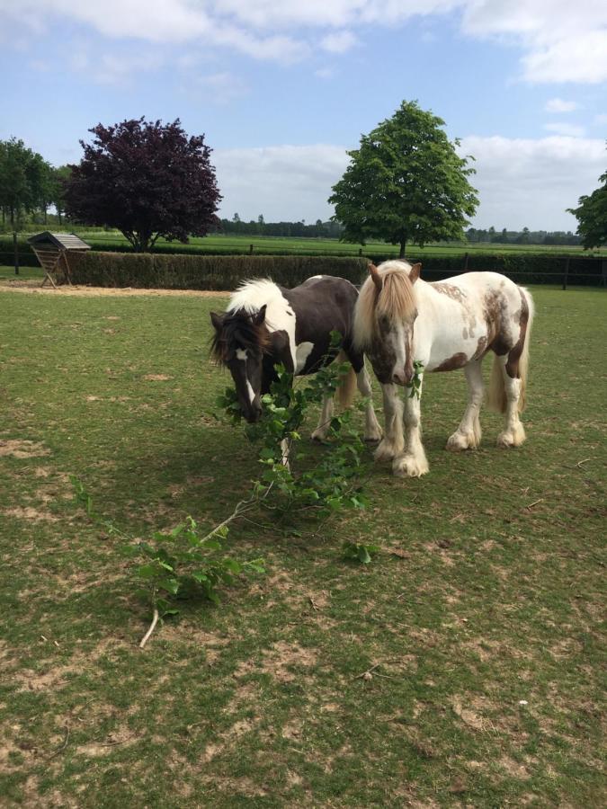 B&B En Wellness De Waalhoeve Angerlo エクステリア 写真