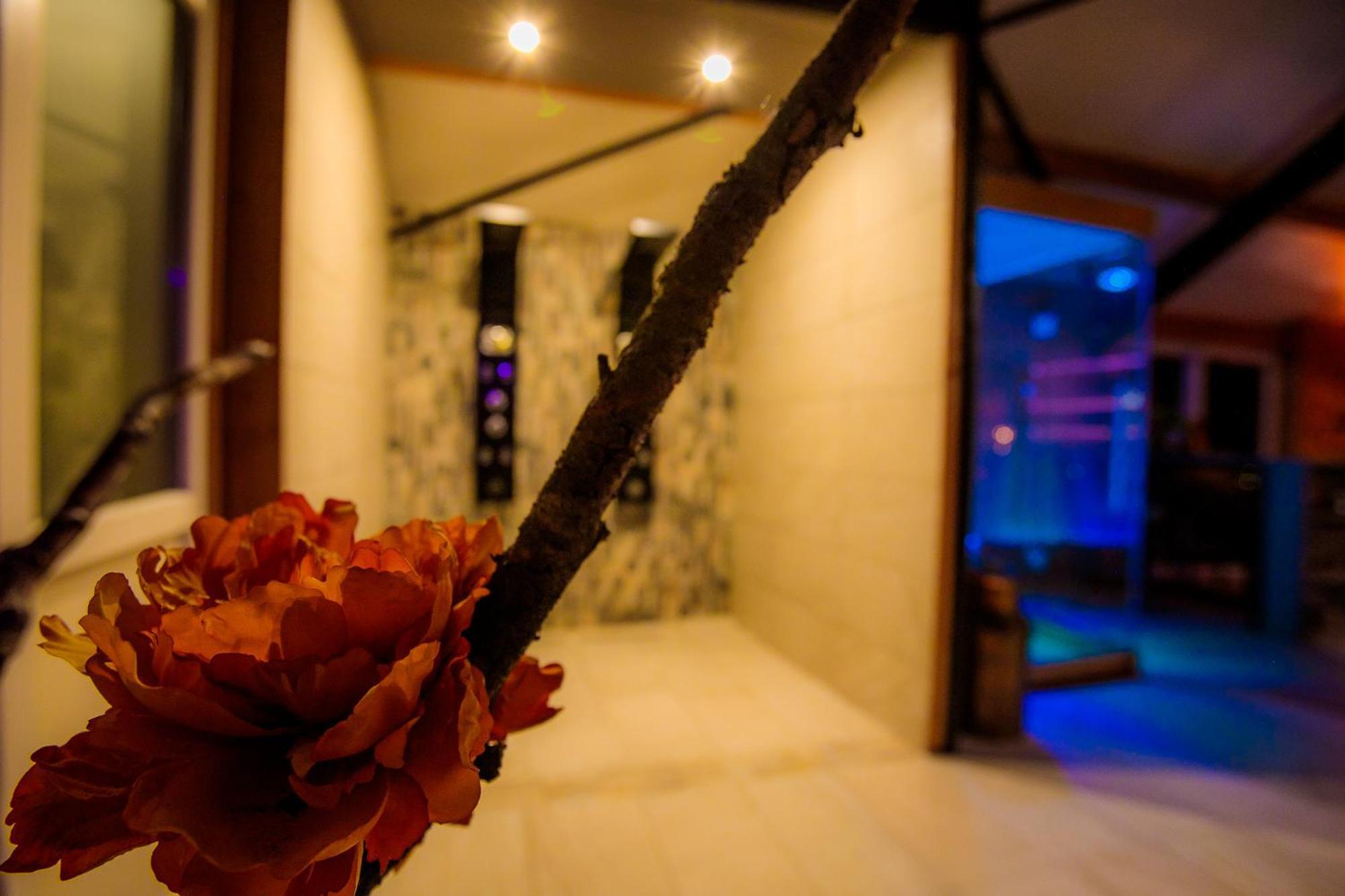B&B En Wellness De Waalhoeve Angerlo エクステリア 写真
